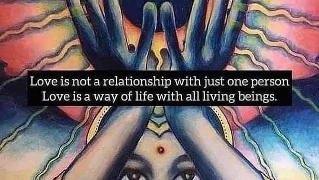 Lauren Jauregui Instagram - “Love is a way of life with all living beings” #FreePalestine #PalestineWillFreeUsAll
