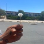 Lauren Jauregui Instagram - a reflection on some of July’s special moments with some August energy setting from @moonomens ✨🤍 tonight is the first of two full moons this month, tap in with them to get a read on what your sign should be expecting🤍