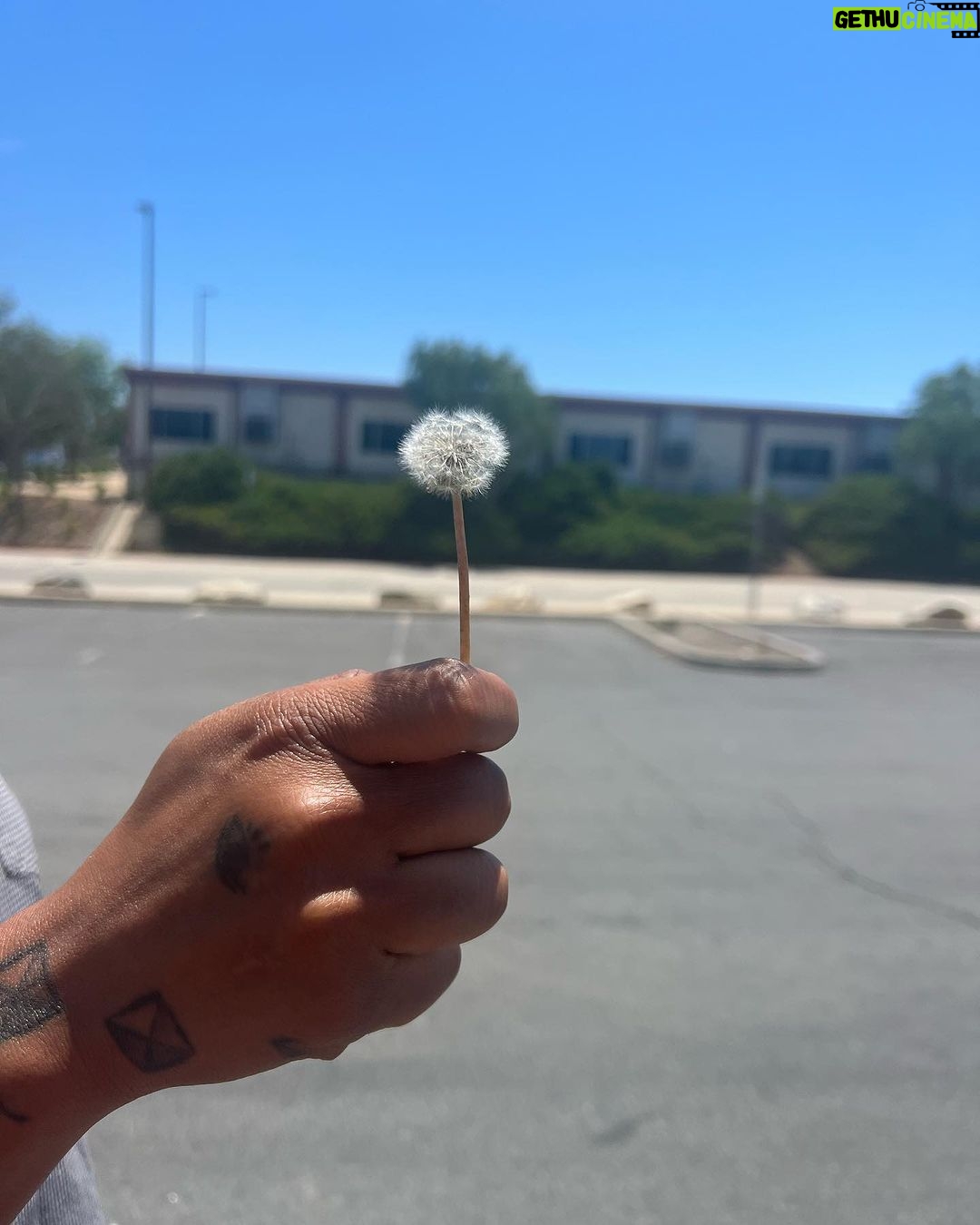 Lauren Jauregui Instagram - a reflection on some of July’s special moments with some August energy setting from @moonomens ✨🤍 tonight is the first of two full moons this month, tap in with them to get a read on what your sign should be expecting🤍