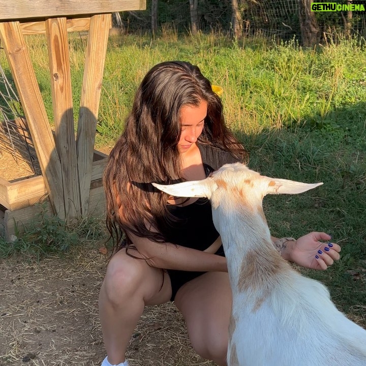 Lauren Jauregui Instagram - Reintegrating, grounding, and reminiscing. Finally feeling collected and just wanted to thank everyone who showed up for these shows..so grateful to @hernameisbanks for having me open on this run, grateful to have met and gotten to know @samohtmusic and his talented ass. The shows were such beautiful compliments go one another and it was an honor to share those stages. To my friends and fam I was able to connect with, the amazing food I ate, the amazing people and professionals God has brought into my life to surround me on this journey. I couldn’t have asked for a better official tour. 21 cities and it felt like the beginning of a brand new chapter in my career that I can’t wait to continue and evolve into. Thank you to those who have always believed in me and to me for believing in me. I’m gonna post a bunch of dumps over the next couple days cause I have ALOT of content lol. Enjoy✨