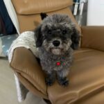 Lee Chang-ho Instagram - 내동생. 이자카 군. 4호선7번출구. (4년7개월) 가슴으로 낳아 지갑으로 키우겠다!