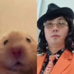 Lee Chang-ho Instagram - 대장대장! 오늘 햄찌의날인..누구세요? 조용! 레슨중이니 쳇바퀴 타고 있어요오
