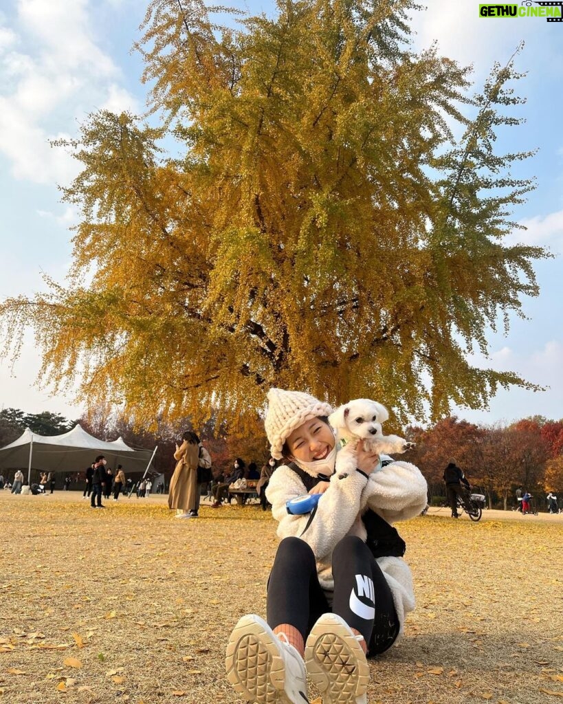 Lee Eun-jae Instagram - 사랑이넘치는곳