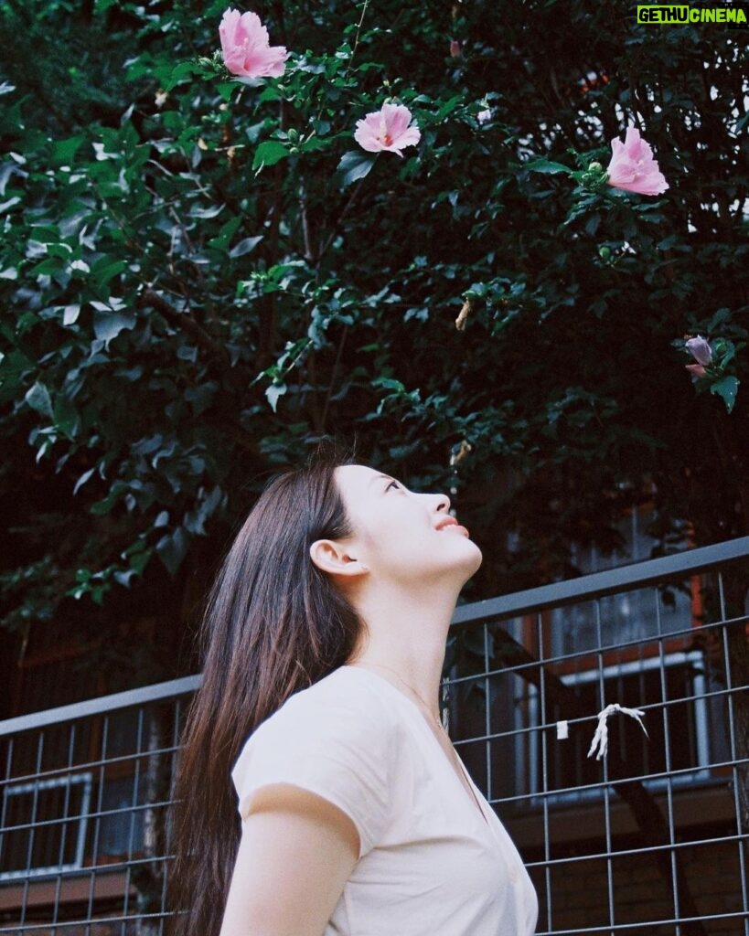 Lee Eun-jae Instagram - 🌿🌺@midwinterfilm