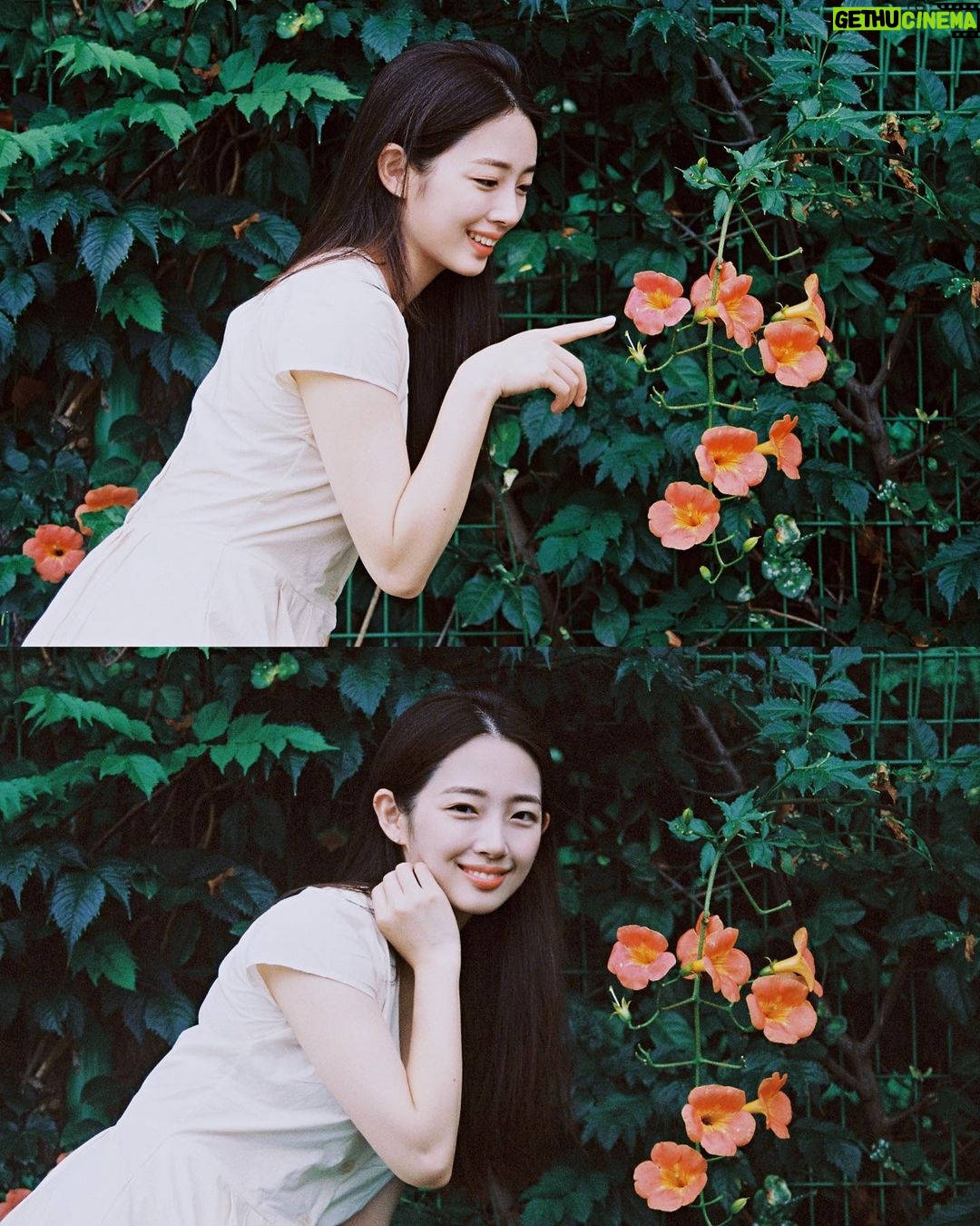 Lee Eun-jae - 25.1K Likes - 🌿🌺@midwinterfilm