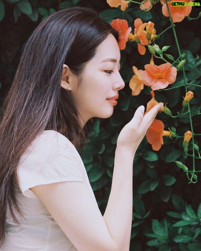 Lee Eun-jae Instagram - 🌿🌺@midwinterfilm