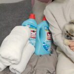 Lee Ji-hyun Instagram – 인스타에 향기 보내기 기능이 있었으면 좋겠어요
너무 사랑스럽고 포근한 이 향을 여러분들도 맡아봤으면
좋겠네요😍
자랑할게 너~~무많은 제품이에요
길지만 끝까지 읽어주세요~^^
 
♦️향만 좋은게 아니지요~~~
이탈리아에서 날아온 향좋고 세척력 좋은 세제 입니다
이탈리아 완제품 직수입,
조향사와 함께 제작한 예술적인 향과 함께
경제적인 고농축포물러로 적은양으로도 강력한 세척력을 지녔어요

♦️홈쇼핑에 등장했다 하면 완판완판완판이에요!
매번 완판신화를 쓰고있는 이탈리아 명품세제!

♦️이탈리아에서 온 명품세제
기생충에 등장했던 부자냄새
6오미노비앙코 세제

♦️섬유유연제까지 따로쓸 필요 없는 세제!
온가족 모두 함께 쓸수 있는 세제!
세척력은 강하고 성분은 착한 세제 여기 있어요
여름철.. 빨래에서나는 불쾌한 냄새.
오미노비앙코 세제쓰면 끝입니다

♦️샤워 후에도 좋은 향이 나는 수건으로 닦아 줘야
개운하게 잘 씻은 느낌이 드는 거.
저만 그런 거 아니죠?
옷에서도 수건에서도 곳곳에서 풍겨져 나오는
고급스러운 화이트머스크향 덕분에 기분이
좋아지실 거예요

♦️68년 전통의 이탈리아 국민세제 오미노비앙코는요,
8년 연속 시장점유율 ,판매점유율 1위를 굳건히
지키고 있는. 그럴만한 이유가 있는 세제예요 !!

1.유해먼지 흡착/재오염 방지
2.향수를 품은 화이트머스크향
3.피부저자극 테스트 완료!
섬유 코팅효과로 세탁중 제거된 유해먼지가
다시 웃옷에 달라붙지 않는 기술력
전세계 점유율 1위 조향사 지보단의 노하우가 담긴
장미, 아이리스, 백합, 머스크 등 다양하고 아름다운 향기
세탁량 4~5kg 기준으로
가벼운때는 뚜껑 반컵
보통때는2/3컵
찌든때는 한컵+아주 살짝 추가해서
넣어주시면 되세요

♦️피부를 보호하는 저 자극성 포뮬러
✓천연 추출물로 만들어진 세정 성분이 강력한 세척력을 발휘하면서도 자극 없이 피부를  보호
✓이탈리아 공인기관 피부테스트 완료
✓형광증백제 불검출 (2.6L 신포뮬러제품)
✓미세플라스틱 불검출

♦️유럽 안전인증 및 친환경 협약을 준수한 안전한 제품
유럽의 엄격한 안전, 환경, 생산기준과 규정을 모두 준수
브랜드 신뢰를 뒷받침 하는 각종 AWARDS

♦️”2.6L 신포뮬러”로 
기존 오미노비앙코와의 차이점>> “형광증백제 불검출!!”

♦️섬유나 종이를 하얗게 표백하는 “형광증백제”는
피부에 장기간 노출이되면
아토피나 피부염, 암을 유발시킬 수 있고
호흡기 노출시 소화기 질환까지 유발 할 수있는 위험물질로 
알려져있어요!

♦️2.6L 신포뮬러 오미노비앙코는 
기존 오미노비앙코와는 다르게
형광증백제 불검출인! 이탈리아 오미노비앙코 정식 수입원 미나글로벌 제품입니다!

현재 정식 수입원 외에는 판매하고있지 않은 제품이에요~!
🎊구매는 프로필 링크 눌러주세요🎊