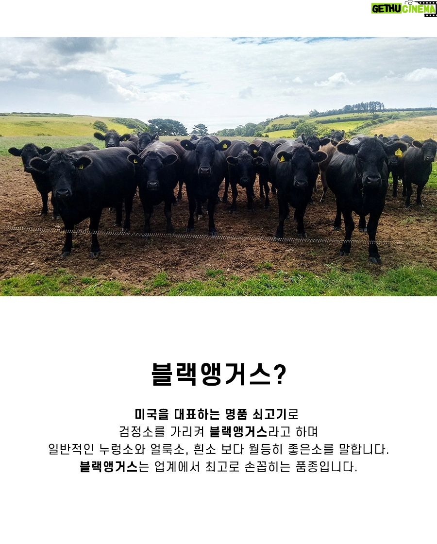 Lee Ji-hyun Instagram - ๊ตฟ๋ชจ๋์๐ ์ค ์ ๋ฌผ ์ธํธ ์คํํ์ด์๐ค๐ค๐ค ๋จผ์ LA๊ฐ๋น ์๊ฐํด๋๋ฆด๊ฒ์~~ ์ผ๋จ ๊ณ ๊ธฐ๊ฐ์ ๋ธ๋์ต๊ฑฐ์ค์์!!! ์ ์ค์ ์ต์์ ๊ณ ๊ธฐ!!!! ๊ทํ ์ ๋ฌผ์ฉ์ผ๋ก ๋ฑ์ด์ฃ ~~~~ ๊ตฌ์ ์ ๋ฌผ๋ก๋ ๋ฐฉํ์ค์๋ ๊ผญ ํ์ํด์ ์์ด๋ค์ ์ทจํฅ์ ๊ฒฉ ์
๋ง!!!!! ๊ฑฐ๊ธฐ๋ค ์์ ํ ์๋ก ๋ง๋ LA๊ฐ๋น!!!! ์๋
LA๊ฐ๋น๋ ์์ 13๊ฐ ๊ฐ๋น ์ค ๐๊ฐ์ฅ ํฌ๊ณ ! ์ก์ง์ด ์ฐํ 6,7,8 ๋ฒ ๊ฐ๋น๋ฅผ ์ฌ์ฉํ์ฌ ๋ํผํ ๊ฐ๋น์ ํน์ ์๋
์ ๊ณจ๊ณ ๋ฃจ ์
ํ์ด์ โ
JBS์ ํ๋ฆฌ๋ฏธ์ ๋ธ๋์ต๊ฑฐ์ค ๋ธ๋๋ โ
์ด์ด์ค๋ฑ๊ธ ์์ 30% ๋ธ๋์ฅ๊ฑฐ์ค ์๊ณ ๊ธฐ๋ง์ด ์ ๊ณตํ ์ ์๋ ํ์ง โ
6.7.8๋ฒ ๊ฝ๊ฐ๋น ๋ถ์๋ง ์ฌ์ฉํ์ฌ ๋ผ๊ฐ 3๊ฐ์ธ๊ฒ์ด ํน์ง โ
๋๊ป๊ณ ๋ถ๋๋ฌ์ด ์์ก์ ์ง์ง์๊ณ ๋ง์๋ ์๋
์ด ๋ํ LA๊ฐ๋น ๊ธฐ์กด ์ํ๋๋ ์๋
LA๊ฐ๋น์๋ ๋น๊ตํ์ง ๋ง์ธ์~! ์ด์์ ์ธ ๋ง๋ธ๋ง๊ณผ ํ๋ถํ ํ๋ฏธ๋ก ๊ธฐ๋ ์ด์์ ๋ง์ ๋ณด์ฅํฉ๋๋ค^^ โฆ๏ธ๋น์ผ๋ฐฐ์ก์ด์์ โฆ๏ธ๊ตฌ๋งค๋ ํ๋กํ์ ๋งํฌ๋ก ๋ค์ด์ค์ธ์ #์ค#๊ตฌ์ #์ ๋ฌผ#LA๊ฐ๋น
