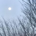 Lee Oi-soo Instagram - 저는 부처님도 믿고 예수님도 믿습니다. 스님들과도 친하게 지내는 편이고 목사님들과도 친하게 지내는 편입니다. 하지만 절간도 자주 다니지 않는 편이고 교회도 자주 다니지 않는 편입니다. 제게는 두 채의 절간과 두 채의 교회가 있습니다. 한 채는 우주라는 이름을 가진 거대한 절간과 교회고요 다른 한 채는 마음이라는 이름을 가진 조그만 절간과 교회입니다. 저는 부처님의 가르침을 달달 외우는 사람은 못 되더라도 부처님의 가르침을 실천하면서 살아가는 사람이 되고 싶습니다. 예수님의 가르침도 마찬가지입니다. 무엇보다 실천이 중요합니다. 부처님도 예수님도 무엇이든 받기 위해 믿으면 마귀를 즐겁게 만들고 주기 위해 믿으면 천사를 즐겁게 만들어 주지요. 물론 기도를 많이 하는 쪽이 기도를 적게 하는 쪽보다 신앙심이 깊다고 생각하시겠지만 시도 때도 없이 만 연발하면 되겠습니까. 저는 최선을 다 해보고 안 될 때만 기도를 합니다.