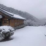 Lee Oi-soo Instagram - 저는 기회만 되면, 기본적으로 인간이 물질적인 요소와 정신적인 요소와 영적인 요소로 이루어져 있다고 고장난 녹음기처럼 같은 말을 되풀이해 온 경력을 가지고 있습니다. 그러면서도 저는 정작 정신적인 요소와 영적인 요소만을 중시해서 물질적인 요소를 소홀히 할 때가 많았습니다. 그래서 가끔 몸이 고장나서 곤욕을 치르기도 합니다. 대개 인사불성으로 술을 마셨을 경우 몸이 만신창이가 되어 며칠씩 드러누운 채로 방바닥을 굴러다니며 고통스러워 합니다. 저를 잘 아시는 분들은 제가 남다른 집중력과 의지력을 가지고 있다는 말을 자주합니다. 하지만 술만은 예외입니다. 담배는 과감하게 끊었는데 술은 도저히 끊을 수가 없습니다. 물론 몸이 아플 때는 어쩔 수 없이 술잔을 멀리하게 되지만 좀 회복되면 무슨 이유로든 술을 마시고야 맙니다. 아마도 제 육신 어딘가에 술귀신이 숨어 있다가 틈만 나면 결심을 약화시켜 버리는지도 모릅니다. 인류사 이래로 물에 빠져 죽은 사람보다는 술에 빠져 죽은 사람이 훨씬 많다는 설도 있지만 술도 코로나19를 능가할 정도로 무서운 존재라는 생각을 해 봅니다. 그런데 저는 왜 몸이 아플 때만 그 사실을 자각하게 될까요. 아무튼 요즘들어 건강이 좋지 않아 술을 멀리하고는 있습니다. 술을 멀리하는 대신 노래를 가까이하고 있습니다. 노래를 가까이 하면서 폐기능이 무척 좋아졌다는 진단을 받기도 했습니다. 그런데, 이리 가면 파출소, 저리 가면 경찰서, 노래를 부르면 부쩍 술이 땡깁니다. 이때는 술이 당기는 것이 아니라 분명히 땡기는 것입니다. 제 인생은 언제나 진퇴양난, 사면초가. 바둑으로 말하면 축몰이를 당하는 입장이었습니다. 대마불사는 개뿔, 언제나 대마는 지그재그로 축머리를 두들겨 맞으면서 비틀거리는 형국이고 언제나 패배가 자명한 바둑판을 떠나지 못하고 있는 형국입니다. 방하착. 저도 모든 것을 내려 놓는 길이 정답이라는 사실을 알기는 하지만, 염병할, 무슨 이유 때문인지 아직도 인생이라는 바둑판을 둘러 엎지 못하고 있습니다. 때로는 공부가 턱없이 부족하다는 판단에서 머리 깎고 산으로나 들어갈까 생각도 해 보다가 세속을 이만큼 오염시킨 걸로 만족해야지 산까지 오염시킬 이유가 무엇이냐 싶어 포기해 버린 적도 있습니다. 어쨌거나 지금 바둑판을 둘러엎기에는 억울한 점들이 너무 많다는 사실도 술을 퍼마시는 이유이면서 지리멸렬한 목숨을 부지하고 있는 이유입니다. 당연히 저는 절대로 자살 따위 감행할 생각이 없습니다. 눈썹 하나 까딱하지 않고 하나님을 빙자해서 코로나19 확산시키러 다니고 떼지어 거리로 나가 태극기를 모독하고 멀쩡한 국민들을 종북좌빨로 모는 인간 쓰레기들도 자신들이 존재할 가치가 있다고 생각하는 현실적 황무지에서 저는 과분하게도 오래도록 수많은 독자분들의 사랑을 받으면서 글밥을 먹고 살아온 작가로서의 사명감도 버릴 수가 없습니다. 최근들어 하루도 거르지 않고 페북과 트위터와 인스타와 카스와 홈페이지에 제 미천한 글발들을 퍼나르거나 팩트에 입각한 기사들을 퍼나르는 이유도 세상이 조금이라도 맑아지기를 바라는 마음 때문입니다. 저는 대한민국이라는 민주공화국에서 수없는 구라와 수없는 불의와 수없는 개쉐키들과 수없는 무뇌충들과 수없는 조작과 수없는 모함과 수없는 시궁창과 수없는 악마들을 직접 경험하면서 살아온 증인입니다. 지금의 대한민국이 최상의 대한민국입니다. 마지막 발악을 하는 적폐세력들 때문에 다소 느리기는 하지만 어느 시대보다 밝은 미래를 준비하는 대한민국입니다. 원칙과 상식과 양심과 인간이 회복되고 있는 대한민국입니다. 새벽이 오기 전의 어둠이 가장 짙다는 말이 있습니다. 여러분 사랑합니다. 부디 희망을 잃지 마시고 악착같이 존버해 주세요.
