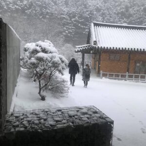 Lee Oi-soo Instagram - 감성마을 전체가 폭설에 점령당해 있습니다. 
여기는 겨울왕국.
교통이 두절되고 인적이 끊어지고
정지한 시간
산들은 새하얀 고독을 끌어안은 채 
깊디 깊은 침묵의 강물 속으로 떠내려 가고 있습니다. 
저를 걱정하지는 마세요. 
라면은 충분히 비축되어 있고 
감기도 다 나은 상태입니다. 
폭설에 잠겨 있을 때는 
차라리 휴대폰으로 안부 따위를 묻지 않는 편이 
속 편합니다. 
외로움이니 그리움이니 하는 단어들도 
사치에 불과합니다.
부득이 일체의 약속을 파기하는 수밖에 없습니다.
하지만 오만 가지 우여곡절을 마다않고 
폭설에 잠긴 감성마을을 찾아오셔서 
사흘이고 나흘이고 
곤죽이 되도록 막걸리를 마실 수 있는 한량 
아직도 대한민국 어딘가에는 그런 한량이 
한 명쯤 살아 있으리라는 기대감 
불현듯 기대감에 사로잡히는 것도 사실입니다. 
올해도 봄은 남쪽 나라 어디쯤에서 
늑장을 부리고 있겠지요. 
써글.