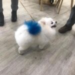 Lee Oi-soo Instagram - 어제는 오산의 안민석 의원님께서 오산천을 수달이 살 수 있는 일급수로 만들기 위해 노력하시는 분들과 한성용 수달박사님을 모시고 감성마을을 방문해 주셨습니다. 물론 이외수 문학관 관람을 위해 오신 외지 분들도 몇 분 계셨지요. 때마침 국민환자 김철민님과 국민 디제이 하심님도 방문하셨습니다. 그냥 보낼 수야 있나요. 버스킹의 황제 김철민이 괜찮아를 열창, 문자 그대로 우레와 같은 박수를 받았습니다. 화천 산천어 축제는 아직 끝나지 않았습니다. 앞으로 깜짝 놀랄 만한 경품과 상금을 걸고 지속적으로 낚시 이벤트를 펼칠 예정입니다. 말로만 듣던 물 반 고기 반. 제가 직접 낚시를 해 보았는데 거짓말 1도 안 보태고 1분에 한 마리씩 올라옵니다. 낚시에 흥미가 없으신 분들은 감성마을 이외수 문학관으로 오세요. 코로나에 지나친 공포감을 느끼실 필요가 없습니다. 마스크만 쓰셔도 안전하다는 설이 있지만, 축제장에는 항시 의료진이 대기하고 있습니다. 화천 농산물과 산천어. 싼 가격으로 판매힙나다. 필요하신 분들은 화천군 농협으로 문의해 주세요. 누가 뭐라고 해도, 한없이 착하고, 한없이 외롭고, 한없이 정의로운, 화천 홍보대사 이외수였습니다.