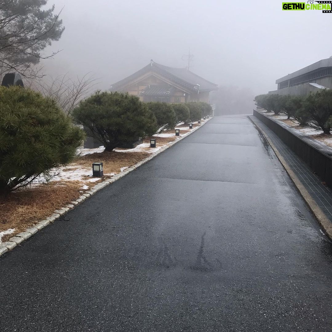 Lee Oi-soo Instagram - 겨울비 내리는 날 즉흥시 한 수 올립니다. 오늘은 아침부터 저녁까지 겨울비 싸늘한 비수로 내 살을 도려낸다 제기럴 도대체 나는 전생에 무슨 죄를 지었길래 비가 와도 뼈저리게 아프고 눈이 와도 뼈저리게 아프냐 하늘에 존재하는 것들도 아픔 뿐이고 땅에 존재하는 것들도 아픔 뿐이냐 진통제도 듣지 않는 인생 말년 어느날 불현듯 궁금해서 근황을 알아보면 아뿔사 그동안 내가 너무 무심했구나 지인들은 기별도 없이 저 세상으로 떠났다는 소식 눈이 오기를 기다리면 비가 내리고 비가 오기를 기다리면 눈이 내리는 내 팔자는 개팔자 술에 절어 노숙자로 살던 젊은날에도 늙고 병들어 홀로 불편한 거동으로 누추하게 살아가는 오늘날에도 저 하늘은 언제나 내 편이 아니었다 아무리 착한 마음으로 진실하게 살아도 내 편이 아니었다 어금니를 악물고 혼자 미어지는 목소리로 나지막히 중얼거리는 존버 존버만이 내 인생의 경전이었다 이 외 수