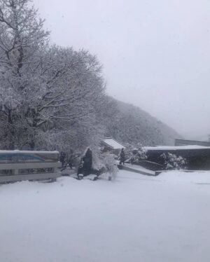 Lee Oi-soo Instagram - 외국의 언론들은 코로나19사태에 즈음해서 대한민국의 위기대처능력을 이구동성으로 칭찬하고 있는데, 정작 한국의 썩어빠진 정치꾼들이나 기레기들이, 그리고 사이비 종교인들이, 가증스럽게도 나라 걱정을 하는 척 하면서 현정부를 헐뜯기에 여념이 없습니다. 
특히 나이깨나 잡수신 양반들, 상습적으로 부정부패를 일삼거나 뻑하면 종북좌빨 타령이나 일삼고 멀쩡한 사람을 간첩으로 몰아서 죽이던 독재자들, 국가와 국민을 보호하고 지켜야 하는 군대를 한낱 개인의 집권연장의 도구로 생각하고 선량한 시민을 상대로 발포를 서슴지 않았던 개잡놈. 그놈을 추앙하거나 그 시절을 그리워하는 무리들에게 끔찍한 재앙이 있기를 빕니다. 
나이깨나 처잡수신 분들이, 진실과 정의를 보지 못하고, 거짓과 모함에 속아서, 부화뇌동하는 현실을 보면서, 그분들을 인간으로 대접해 드리는 것이 죄악이요 망국이라는 사실을 다시 한번 절실하게 깨닫습니다. 
특히 사이비 정치꾼들이나 사이비 종교지도자들의 선전선동에 속아서 거리로 뒤쳐나가 자신들이 나라를 말아 먹는 짓거리에 앞장서는 줄도 모르고 마구잡이로 태극기를 흔들어대는, 저 무지막지한 태극기 모독단들. 
그분들이 정신 차릴 날이 오기를 기대하지는 않겠습니다. 제발 나라 걱정 하는 척은 말아 주시기 바랍니다. 역겹습니다. 솔직히 말씀드리지만 당신들은 코로나19보다 더 국가와 국민을 위태롭게 만드는 존재들입니다. 당신들은 어떤 방법으로도 치료되거나 퇴치될 수 없는 질병들을 퍼뜨리고 있습니다. 
가증스럽게도 어떤 오지라퍼들은 제가 소설은 쓰지 않고 정치에 관심을 가진다는 사실을 빌미로 반감을 표출합니다. 그런데 기자라는 분들이 기사는 쓰지 않고 소설을 쓰고 있다는 현실 앞에서는 띠바, 찍소리도 하지 않습니다. 
저는 <보복대행전문주식회사>라는 소설을 통해, 세상을 썩지 않게 만드는 방부제가 되어야 할 사람들이 오히려 부패촉진제가 되어 세상을 말아 먹고 있다는 사실을 개탄한 적이 있습니다.  갈수록 더해가는 느낌입니다.
하지만 행복한 시대가 도래하기 직전, 악마들이 보여 주는 최후의 발악은 그리 오래 걸리지 않는다는 특질을 가지고 있습니다.
선량하신 그대여. 
오로지 존버.