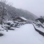 Lee Oi-soo Instagram - 외국의 언론들은 코로나19사태에 즈음해서 대한민국의 위기대처능력을 이구동성으로 칭찬하고 있는데, 정작 한국의 썩어빠진 정치꾼들이나 기레기들이, 그리고 사이비 종교인들이, 가증스럽게도 나라 걱정을 하는 척 하면서 현정부를 헐뜯기에 여념이 없습니다. 특히 나이깨나 잡수신 양반들, 상습적으로 부정부패를 일삼거나 뻑하면 종북좌빨 타령이나 일삼고 멀쩡한 사람을 간첩으로 몰아서 죽이던 독재자들, 국가와 국민을 보호하고 지켜야 하는 군대를 한낱 개인의 집권연장의 도구로 생각하고 선량한 시민을 상대로 발포를 서슴지 않았던 개잡놈. 그놈을 추앙하거나 그 시절을 그리워하는 무리들에게 끔찍한 재앙이 있기를 빕니다. 나이깨나 처잡수신 분들이, 진실과 정의를 보지 못하고, 거짓과 모함에 속아서, 부화뇌동하는 현실을 보면서, 그분들을 인간으로 대접해 드리는 것이 죄악이요 망국이라는 사실을 다시 한번 절실하게 깨닫습니다. 특히 사이비 정치꾼들이나 사이비 종교지도자들의 선전선동에 속아서 거리로 뒤쳐나가 자신들이 나라를 말아 먹는 짓거리에 앞장서는 줄도 모르고 마구잡이로 태극기를 흔들어대는, 저 무지막지한 태극기 모독단들. 그분들이 정신 차릴 날이 오기를 기대하지는 않겠습니다. 제발 나라 걱정 하는 척은 말아 주시기 바랍니다. 역겹습니다. 솔직히 말씀드리지만 당신들은 코로나19보다 더 국가와 국민을 위태롭게 만드는 존재들입니다. 당신들은 어떤 방법으로도 치료되거나 퇴치될 수 없는 질병들을 퍼뜨리고 있습니다. 가증스럽게도 어떤 오지라퍼들은 제가 소설은 쓰지 않고 정치에 관심을 가진다는 사실을 빌미로 반감을 표출합니다. 그런데 기자라는 분들이 기사는 쓰지 않고 소설을 쓰고 있다는 현실 앞에서는 띠바, 찍소리도 하지 않습니다. 저는 라는 소설을 통해, 세상을 썩지 않게 만드는 방부제가 되어야 할 사람들이 오히려 부패촉진제가 되어 세상을 말아 먹고 있다는 사실을 개탄한 적이 있습니다. 갈수록 더해가는 느낌입니다. 하지만 행복한 시대가 도래하기 직전, 악마들이 보여 주는 최후의 발악은 그리 오래 걸리지 않는다는 특질을 가지고 있습니다. 선량하신 그대여. 오로지 존버.