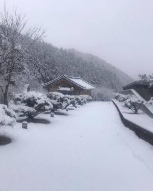 Lee Oi-soo Instagram - 외국의 언론들은 코로나19사태에 즈음해서 대한민국의 위기대처능력을 이구동성으로 칭찬하고 있는데, 정작 한국의 썩어빠진 정치꾼들이나 기레기들이, 그리고 사이비 종교인들이, 가증스럽게도 나라 걱정을 하는 척 하면서 현정부를 헐뜯기에 여념이 없습니다. 
특히 나이깨나 잡수신 양반들, 상습적으로 부정부패를 일삼거나 뻑하면 종북좌빨 타령이나 일삼고 멀쩡한 사람을 간첩으로 몰아서 죽이던 독재자들, 국가와 국민을 보호하고 지켜야 하는 군대를 한낱 개인의 집권연장의 도구로 생각하고 선량한 시민을 상대로 발포를 서슴지 않았던 개잡놈. 그놈을 추앙하거나 그 시절을 그리워하는 무리들에게 끔찍한 재앙이 있기를 빕니다. 
나이깨나 처잡수신 분들이, 진실과 정의를 보지 못하고, 거짓과 모함에 속아서, 부화뇌동하는 현실을 보면서, 그분들을 인간으로 대접해 드리는 것이 죄악이요 망국이라는 사실을 다시 한번 절실하게 깨닫습니다. 
특히 사이비 정치꾼들이나 사이비 종교지도자들의 선전선동에 속아서 거리로 뒤쳐나가 자신들이 나라를 말아 먹는 짓거리에 앞장서는 줄도 모르고 마구잡이로 태극기를 흔들어대는, 저 무지막지한 태극기 모독단들. 
그분들이 정신 차릴 날이 오기를 기대하지는 않겠습니다. 제발 나라 걱정 하는 척은 말아 주시기 바랍니다. 역겹습니다. 솔직히 말씀드리지만 당신들은 코로나19보다 더 국가와 국민을 위태롭게 만드는 존재들입니다. 당신들은 어떤 방법으로도 치료되거나 퇴치될 수 없는 질병들을 퍼뜨리고 있습니다. 
가증스럽게도 어떤 오지라퍼들은 제가 소설은 쓰지 않고 정치에 관심을 가진다는 사실을 빌미로 반감을 표출합니다. 그런데 기자라는 분들이 기사는 쓰지 않고 소설을 쓰고 있다는 현실 앞에서는 띠바, 찍소리도 하지 않습니다. 
저는 <보복대행전문주식회사>라는 소설을 통해, 세상을 썩지 않게 만드는 방부제가 되어야 할 사람들이 오히려 부패촉진제가 되어 세상을 말아 먹고 있다는 사실을 개탄한 적이 있습니다.  갈수록 더해가는 느낌입니다.
하지만 행복한 시대가 도래하기 직전, 악마들이 보여 주는 최후의 발악은 그리 오래 걸리지 않는다는 특질을 가지고 있습니다.
선량하신 그대여. 
오로지 존버.