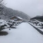 Lee Oi-soo Instagram - 오늘 아침 이런 기막히게 아름다운 풍경을 선물 받고도 하나님께 감사하다는 말씀을 못 드렸습니다. 코로나19하고 신천지는 왜 그냥 내버려 두시는지 궁금합니다. 아직도 하나님 몰래 뇌물 처먹었는지 엉뚱한 곳에만 벼락 때리는 천국벼락담당관 왜 안 자르시는지도 궁금합니다. 풍경이 아름다울수록 외로움은 깊어지고 외로움이 깊어질수록 술생각이 간절해집니다. 아직도 감성마을은 엄동설한, 저는 여전히 존버하고 있습니다. 봄이 오면 예쁜 여자 하나 꽃피우면서 열심히 글이나 쓰겠다는 결심은 자동연기되었습니다. 끝으로 나라도 말아 처먹고 천국도 말아 처먹은 빤스목사님의 빵깐행을 자축합니다. 하지만 그놈을 감싸고 도는 정치 야바위꾼들까지 빵깐으로 보내지 않는 한 대한민국 미래의 날씨는 아 띠바, 연일 흐림입니다.
