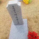 Lee Oi-soo Instagram - 저는 대한민국이라는 민주공화국의 국민 중 한 사람입니다. 국가와 민족을 위해 크게 기여하지는 않았어도 나름대로 성실하고 치열하게는 살았습니다. 대한민국에서 75년이라는 세월을 살면서, 김일성도 겪었고, 김정일도 겪었고, 지금은 김정은을 겪고 있습니다. 어릴 때는 직업군인이셨던 아버님 때문에 화천 양구 인제 등지의 군사지역에서 유년시절을 보낸 경험을 가지고 있습니다. 그때문에 수없이 많은 반공방첩 교육을 받으면서 살았던 기억도 가지고 있지요. 옛날에는 남북관계가 최악이었습니다. 뻑하면 무장공비들이 출몰했고 뻑하면 간첩들이 체포되었습니다. 저는 중학교 시절부터 고등학교 시절까지 반공방첩 웅변대회에서 수없이 많은 상을 받기도 했지요. 한마디로 어릴 때부터 뼛속까지 반공주의자였습니다. 1968년에는 육군에 입대, 논산훈련소를 거쳐 육본 부관김실에서 근무했고 1971년에는 육군 병장으로 만기제대를 했습니다. 제가 군대생활을 할 때는 김신조가 중무장한 병사들을 인솔해서 서울에 입성, 총격전까지 벌였고 이어서 미전함 푸에블로 호가 동해에서 북한군에게 나포되는 사태까지 발생했습니다. 제 군번은 1184로 시작됩니다. 앞번호가 11로 시작되는 군번이 속칭 와르바시 군번입니다. 이 군번은 지옥보다 더 끔찍한 군대생활을 했다고 해도 과언이 아닙니다. 말년 병장들이 제대특명을 받기 직전에 김신조와 푸에블로 호 때문에 느닷없이 전시체제로 돌입, 제대가 무기한 연기되고 말았습니다. 기분이 어떨까를 생각해 보십시오. 고참들은 오로지 졸병을 괴롭히는 일로 위안을 삼는 수밖에 없었습니다. 아무튼 저는 3년 동안 국가와 민족을 위해 군복무를 수행한 인물입니다. 뿐만 아니라 제 아버님은 화랑무공훈장을 받으신 국가유공자로 대전 국립묘지에 안장되어 계십니다. 제 아들 2명도 병역을 필했습니다. 그러니까 3대가 모두 국가와 민족을 위해서 병역의 의무를 필한 애국자 집안이지요. 그런데 시바, 자식도 군대 안 보내고 본인도 군대 안 갔다온 쉐키들이, 거총도 한 번 제대로 해 본 적이 없는 쉐키들이, 저를 빨갱이로 모는 경우가 있습니다. 저를 빨갱이로 모는 쉐키들은 대부분 빨갱이보다 더 악질적인 짓거리를 일삼거나 매국매족을 애국애족으로 위장하면서 살아가는 위선자들일 경우가 많습니다. 그 쉐키들은, 기레기들이 정치적 목적으로 조작한 기사들을 무슨 경전처럼 신봉하거나 적폐들의 망국적 주장이나 행위들을 적극 옹호하거나 두둔하는 특성들을 나타내 보입니다. 어떤 작자는 유튜브를 통해 제 아버님의 명예를 훼손하고 저를 모욕하기를 서슴지 않았습니다. 대부분이 사실과 무관한 얘기들이었습니다. 감성마을에는 법률팀이 구성되어 있습니다. 자문을 구했더니 고소할 요건이 충분하답니다. 오늘 면사무소에 가서 국가 유공자 가족 증명서를 발급받았습니다. 아버님의 명예를 훼손하고 저를 모욕한 인물을 법적으로 응징하는 데 필요한 증거자료입니다. 앞으로 저를 함부로 모욕하거나 비난하는 악플러들이나 유튜브들은 각별히 조심하시기 바랍니다. 반드시 응징해 드리겠습니다. 악플초불행 선플만복래.