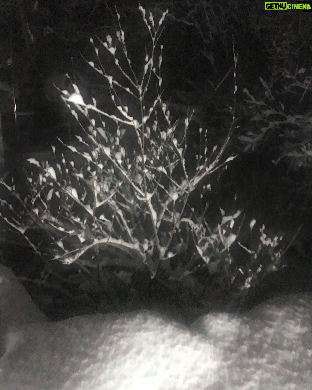 Lee Oi-soo Instagram - 안녕들 하십니까. 사람이 몹시 그리울 뿐 저는 아직 별고 없습니다.