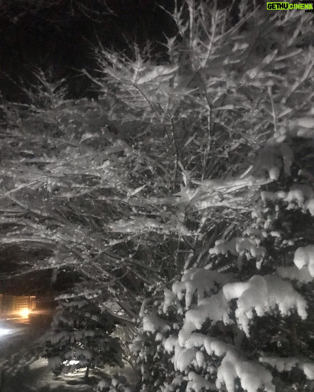 Lee Oi-soo Instagram - 안녕들 하십니까. 사람이 몹시 그리울 뿐 저는 아직 별고 없습니다.