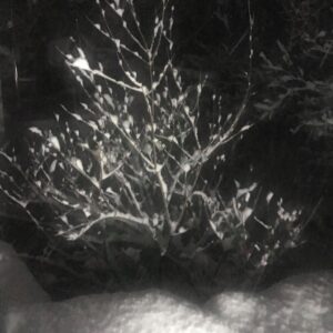 Lee Oi-soo Instagram - 감성마을 전체가 폭설에 점령당해 있습니다. 
여기는 겨울왕국.
교통이 두절되고 인적이 끊어지고
정지한 시간
산들은 새하얀 고독을 끌어안은 채 
깊디 깊은 침묵의 강물 속으로 떠내려 가고 있습니다. 
저를 걱정하지는 마세요. 
라면은 충분히 비축되어 있고 
감기도 다 나은 상태입니다. 
폭설에 잠겨 있을 때는 
차라리 휴대폰으로 안부 따위를 묻지 않는 편이 
속 편합니다. 
외로움이니 그리움이니 하는 단어들도 
사치에 불과합니다.
부득이 일체의 약속을 파기하는 수밖에 없습니다.
하지만 오만 가지 우여곡절을 마다않고 
폭설에 잠긴 감성마을을 찾아오셔서 
사흘이고 나흘이고 
곤죽이 되도록 막걸리를 마실 수 있는 한량 
아직도 대한민국 어딘가에는 그런 한량이 
한 명쯤 살아 있으리라는 기대감 
불현듯 기대감에 사로잡히는 것도 사실입니다. 
올해도 봄은 남쪽 나라 어디쯤에서 
늑장을 부리고 있겠지요. 
써글.
