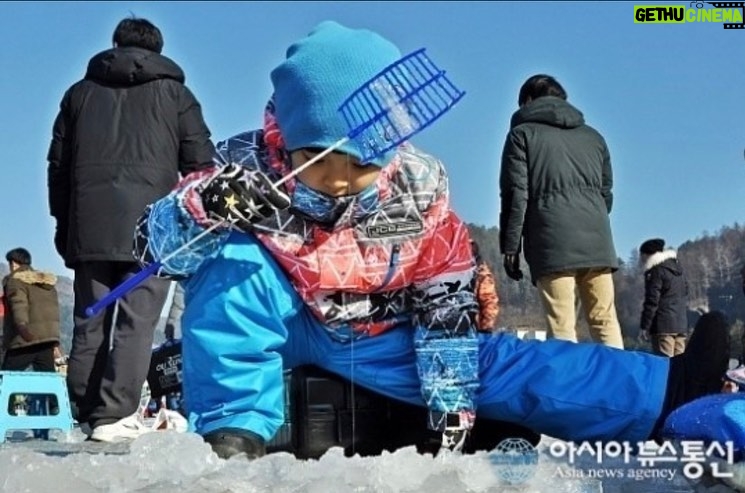 Lee Oi-soo Instagram - 저는 16년 동안이나 화천군 홍보대사와 산천어축제 홍보대사를 역임하고 있습니다. 특히 산천어축제는 그동안 발전에 발전을 거듭해서 세계적인 축제로 부상했을 뿐만 아니라 해마다 150만 명이 넘는 방문객을 기록하는 대한민국 대표축제가 되었습니다. 대한민국의 유일한 흑자축제였습니다. 그러나 화천은 지금 회생불능의 패닉상태에 빠져 있습니다. 군부대축소. 돼지열병. 집중호우 및 강물범람. 기후 온난화에 의한 얼음 부실. 부득이 산천어축제 2회 연기. 동물보호단체의 연이은 태클. 신종 코로나 바이러스. 산천어축제 연일 타격을 입음. 축제를 위해 준비한 농산물 산더미처럼 쌓여 있는 상태임. 축제를 위해 준비한 다량의 산천어 역시 처치곤란한 상태임. 이런 상황에서 돼지열병 방역결과 점검차 화천을 방문한 조명래 환경부 장관은 산천어축제장에는 가 보지도 않고 서울 중구 프레스센터에서 열린 기자 간담회에서 "생명을 담보로한 인간중심의 향연은 저로서도 바람직하지 않다고 본다"고 무책임한 발언. 각종 흉기로 난도질을 당한 화천 군민들의 알몸에 환경부장관님께서 친히 왕소금을 뿌리시는 듯한 발언. 하지만 동물보호단체나 환경부장관님의 동물사랑은 진정성이 몹시 의심스러움. 산천어는 바다에 서식하다 산란기가 되면 민물로 와서 알을 낳고 바다로 돌아가는 회유어. 그러나 대한민국의 산천어들은 댐 때문에 거의가 회유하지 못하는 신세. 산천어를 그토록 사랑하신다면 댐부터 폭파하셔야 마땅. 산천어는 1급수에서만 자라는 물고기. 축제장에서 사용되는 산천어들은 전부가 자연산 물고기가 아니며 알에서부터 치어, 성어에 이르기까지 전과정을 화천군에서 축제용으로 관리 감독하는 인공 물고기임. 화천군은 재정자립도가 가장 낮은 지자체. 산천어축제를 통해 약 1천 3백억 정도의 수익을 올림. 화천의 강물이 1급수이기 때문에 산천어축제가 가능. 환경을 파괴하는 축제가 아님. 오히려 환경을 보호 관리할 때 어떤 이익과 즐거움을 얻을 수 있는가를 여실히 입증해 주는 축제. 완벽하지는 않으나 축제 관계자들은 문제점들에 대한 개선책과 보완책을 끊임없이 고민하고 있으며 연구를 게을리하지 않는 실정. 문화체육관광부가 2019년 글로벌 육성축제로 지정, 적극적인 지원을 하고 있는 축제임. 얼마나 많은 동물들이 인간의 식탁을 위해 고통받거나 학대받으면서 사육되고 있는가. 닭은 자유로운 환경에서 행복하게 사육되고 있는가. 돼지는 자유로운 환경에서 행복하게 사육되고 있는가. 소는, 말은, 양은? 고등어, 오징어, 낙지, 뱀장어, 꼴뚜기, 새우, 멸치, 조개, 정어리, 전어, 짱뚱어는 아무런 고통의 과정을 거치지 않고 기쁨에 겨운 상태로 우리들의 식탁에 오르는 걸까? 동물보호단체나 환경부장관님께 자갈을 구워 먹는 방법이나 모래를 삶아 먹는 방법을 좀 가르쳐 달라고 하소연하고 싶은 심경. 아무튼 화천은 지금 절체절명의 위기에 처해 있습니다. 산천어축제장에 오시면 낚시를 못하시는 분들을 위해 1만 5천 원에 산천어 3마리를 드립니다. 거기다 5천 원 상당의 농산물 교환권도 드립니다. 산천어 3마리는 1킬로그램이 약간 넘는 크기입니다. 일반 횟집에서는 산천어 1킬로그램이면 3만 5천 원 정도를 받습니다. 환경부 장관님, 그리고 동물보호단체 여러분. 부디 다량으로 구입하셔서 바다에 방류해 주시기를 소망합니다. 화천의 농산물과 산천어를 구입하실 분들은 화천농협 홈페이지를 참조해 주시기 바랍니다. http://hcnh.nonghyup.com/user/indexMain.do?siteId=hcnh