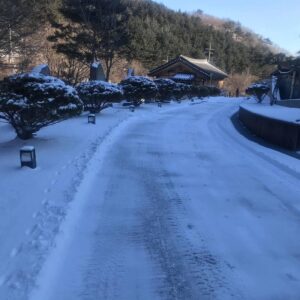 Lee Oi-soo Instagram - 지난 밤 흩날리다 그쳤던 눈발, 내가 잠든 사이 다시 내렸나 보다. 뼈마디를 모조리 해머로 작살내 버리는 듯한 통증을 견딜 수가 없어 결국 잠에서 깨어나고야 말았다. 참 지랄 같다는 생각이 들기는 하지만 통증을 느낀다는 사실은 아직 살아 있다는 증거 아니겠느냐. 범사에 하나님께 감사하라. 어디선가 그런 소리가 들리는 듯해서 찍소리 못하고 정신을 수습, 차를 마시면서 하루를 시작한다. 세월이 깡패다. 날이면 날마다 내 허락도 받지 않은 채로 빠르게 밤이 오고 빠르게 날이 샌다. 어느새 내가 일흔을 넘겨서 이런 몰골의 영육으로 옴팍 삭아 버렸단 말인가. 세월이라는 놈의 멱살이라도 잡고 한바탕 따져 보고 싶은 심경이건만 세월은 늘 잡히지 않는 거리에서 내게 냉소를 보내곤 한다. 어제는 봄이 시작된다는 절기인 입춘. 바깥을 내다보니 봄이 시작되기는 개뿔, 새하얀 눈이 발목을 덮을 정도로 쌓여 있다. 영원히 봄은 오지 않을 듯한 분위기다. 그래도 육안으로 보기에는 세상이 몹시 깨끗해졌다. 하지만 나는 알고 있다. 저건 일시적이고 부분적인 현상일 뿐이다. 세상을 만들어가는 사람들의 내면이 헛된 욕망의 구정물로 가득차 있는데 어찌 세상이 깨끗해질 수 있는가. 썩을 테면 썩어라. 가급적이면 빨리 썩어라. 빨리 썩어서 종말을 고하라. 그리하여 새 세상을 불러 들여라. 저 빌어먹을 적폐들, 그리고 아무리 세월이 흘러도 눈 멀고 귀 멀고 뇌까지 온통 썩어 문드러진 자신을 자각하지 못하는 적폐들. 그 철면피들에 대한 믿음과 존경을 악착같이 드러내야만 직성이 풀리는 무리들에게도 빠른 종말이 도래하기를 빌자. 오늘은, 존버하면서 기다린 그대에게 대박 터지는 날이 되기를.