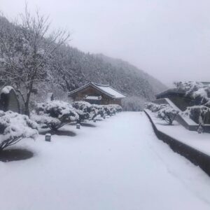 Lee Oi-soo Instagram - 새벽까지 깨어 있습니다. 경제적인 문제들이 엄청난 중량감으로 심장을 압박하고 있습니다. 염병할, 며칠째 불면에 시달리고 있는 중입니다. 
다목리는 아직 엄동설한. 봄은 아무런 징조도 보이지 않고 있습니다. 지까짓게  안 오기야 하겠습니까만 그래도 마음이 자꾸만 초조해집니다. 
화천군 상서면 다목리 감성마을 이외수문학관. 우라질 놈의 코로나19 때문에 사람들의 발길은 오래 전에 끊어져 버린 상태입니다. 고립무원. 제 개인적 입장으로는 어려움도 외로움도 아픔도 위로받거나 하소연할 데가 없습니다. 가끔은 불현듯 자살충동까지 느껴지곤 합니다. 우울증 초기증상인지도 모릅니다. 
하지만 제가 누굽니까. 
존버교의 창시자 아닙니까. 
대한민국의 척박한 세월을 무려 칠십오년이나 존나게 버티면서 살아온 시정잡배입니다. 김일성도 겪었고 김정일도 겪었고 김정은을 현재 겪고 있는 상태입니다. 뿐만 아니라 이승만 장기독재도 겪었고 박정희 군부독재도 겪었습니다. 전두환, 이명박, 박근혜는 떠올리기만 해도 화가 치밀어 오르고 소름이 끼치는 대통령들이었습니다. 
파란만장한 인생을 살아오면서, 결핵도 극복했고, 위암도 극복했고, 폐기흉도 극복했고, 유방암도 극복했습니다. 그리고 지금은 발기부전에 전립선비대증을 보유하고 있습니다. 뿐만 아니라 이런저런 사정으로 빚더미에 깔려 질식 직전에 놓여 있습니다.
그래도 저는 존버만복래라는 말을 불경이나 성경처럼 신봉하면서 살아갑니다. 하늘이 무너져도 솟아날 구멍이 있다는 속담도 수시로 읊조리면서 살아갑니다. 
누구에게나 아침은 옵니다. 
희망과 용기를 잃지 않겠습니다.
오늘도 기쁜 일만 그대에게.
존버.