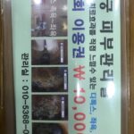 Lee Oi-soo Instagram - 춘천시 후평동 세경 3차 아파트 상가 고궁 피부 관리실에 와서 족욕을 하고 있습니다. 건강상태에 따라 물색깔이 완전히 달라지는데요, 원장님 조언에 의하면 피곤이 많이 누적되어 혈액순환이 원만치 못 하고 간 기능도 저하되어 있는 상태랍니다. 그러나 자기장 족욕 효과로 불편한 부분들이 현저하게 개선되고 오늘밤 편안한 상태로 깊은 숙면에 들 수 있을 거랍니다. 일단 체내의 노폐물들이 말끔히 빠져나간 느낌과 함께 기분이 몹시 상쾌합니다. 모든 혈관들이 투명해진 느낌입니다. 그럼요, 건강이 없는데 무슨 행복이 있겠습니까. 심신이 허약하면 오던 행복도 도망치게 됩니다. 일단 건강부터 챙기고 보겠습니다. (명경지수처럼 맑던 물이 족욕이 끝나자 체내의 독소에 의해 처참지경으로 변해 버렸습니다.)