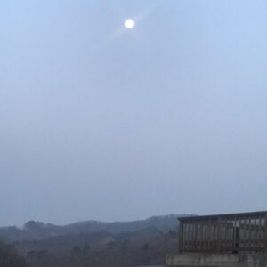 Lee Oi-soo Instagram - 조국 딸 표창장 하나만으로도 온 나라를 벌집 쑤셔댄 꼬라지로 시끄럽기 그지없게 먼들었던 기레기 새퀴들아. 윤석열 장모 사건 터졌는데 왜 일제히 적막강산에 먼 산 바라보기냐. 무슨 찰떡으로 아가리를 처막았냐 아니면 누가 자판 못 치게 손가락을 절단해 버렸냐.