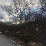 Lee Oi-soo Instagram - 인간반성-2020년 3월 집필실 벽 속에서 범람하는 바람소리 난폭하구나 멀고 먼 바다를 가로질러 삼지창을 번뜩거리며 당도한 포세이돈의 군사들 문득 시간이 정지하고 창 밖 나무들 뼈 부러지는 소리 목 빠지게 기다리던 봄은 기별이 없고 불안한 예감 속에서 절룩거리며 도망치는 나무들 하늘이 오늘처럼 지랄발광을 떨어댈 때는 오직 한 가지 이유뿐 인간이 아무 부끄러움도 없이 띠벌 벌레 흉내를 내거나 짐승 흉내를 낼 때 뿐이다 이 외 수