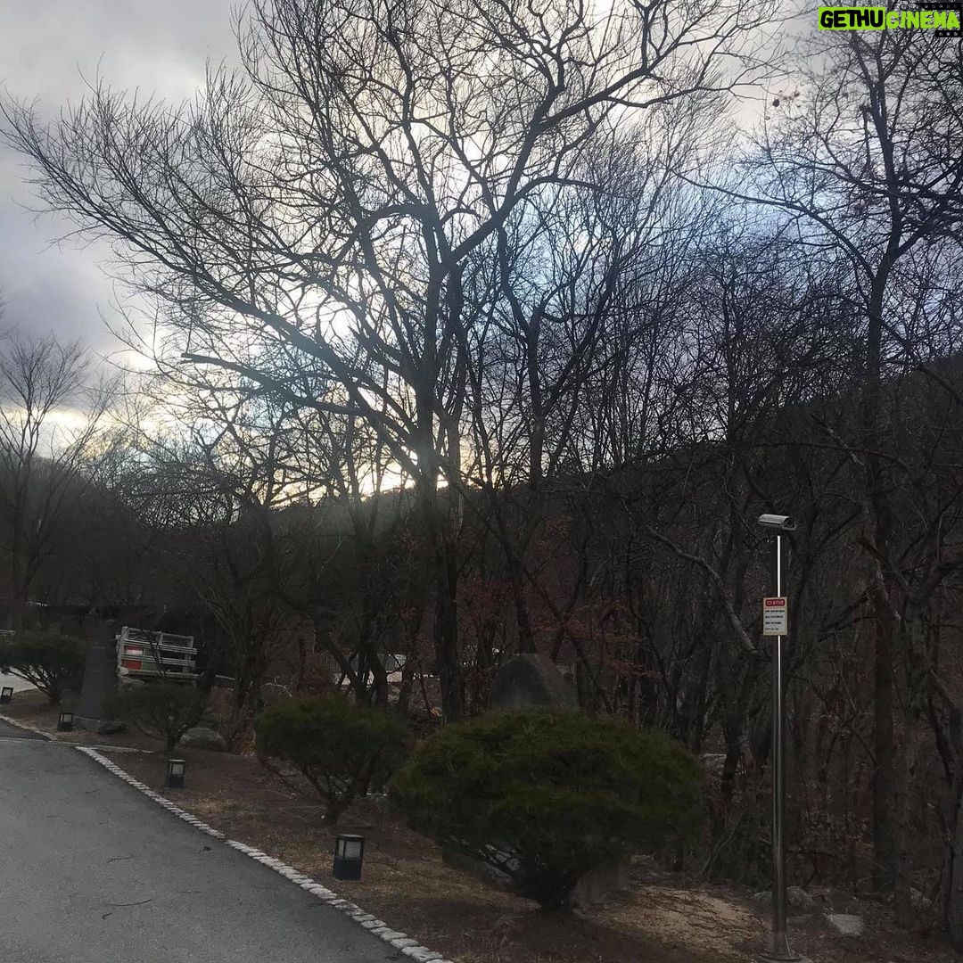 Lee Oi-soo Instagram - 인간반성-2020년 3월 집필실 벽 속에서 범람하는 바람소리 난폭하구나 멀고 먼 바다를 가로질러 삼지창을 번뜩거리며 당도한 포세이돈의 군사들 문득 시간이 정지하고 창 밖 나무들 뼈 부러지는 소리 목 빠지게 기다리던 봄은 기별이 없고 불안한 예감 속에서 절룩거리며 도망치는 나무들 하늘이 오늘처럼 지랄발광을 떨어댈 때는 오직 한 가지 이유뿐 인간이 아무 부끄러움도 없이 띠벌 벌레 흉내를 내거나 짐승 흉내를 낼 때 뿐이다 이 외 수