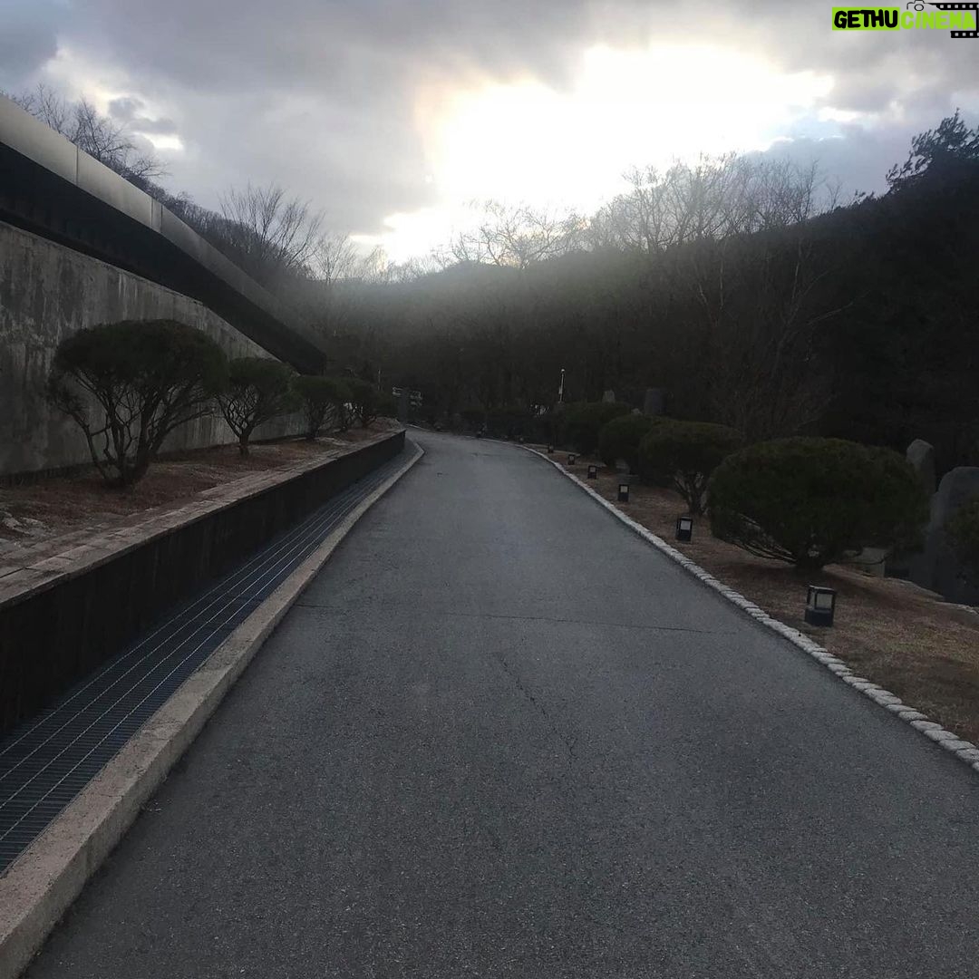 Lee Oi-soo Instagram - 인간반성-2020년 3월 집필실 벽 속에서 범람하는 바람소리 난폭하구나 멀고 먼 바다를 가로질러 삼지창을 번뜩거리며 당도한 포세이돈의 군사들 문득 시간이 정지하고 창 밖 나무들 뼈 부러지는 소리 목 빠지게 기다리던 봄은 기별이 없고 불안한 예감 속에서 절룩거리며 도망치는 나무들 하늘이 오늘처럼 지랄발광을 떨어댈 때는 오직 한 가지 이유뿐 인간이 아무 부끄러움도 없이 띠벌 벌레 흉내를 내거나 짐승 흉내를 낼 때 뿐이다 이 외 수