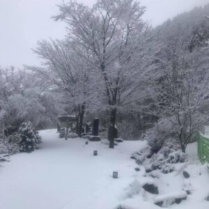 Lee Oi-soo Instagram - 새벽까지 깨어 있습니다. 경제적인 문제들이 엄청난 중량감으로 심장을 압박하고 있습니다. 염병할, 며칠째 불면에 시달리고 있는 중입니다. 
다목리는 아직 엄동설한. 봄은 아무런 징조도 보이지 않고 있습니다. 지까짓게  안 오기야 하겠습니까만 그래도 마음이 자꾸만 초조해집니다. 
화천군 상서면 다목리 감성마을 이외수문학관. 우라질 놈의 코로나19 때문에 사람들의 발길은 오래 전에 끊어져 버린 상태입니다. 고립무원. 제 개인적 입장으로는 어려움도 외로움도 아픔도 위로받거나 하소연할 데가 없습니다. 가끔은 불현듯 자살충동까지 느껴지곤 합니다. 우울증 초기증상인지도 모릅니다. 
하지만 제가 누굽니까. 
존버교의 창시자 아닙니까. 
대한민국의 척박한 세월을 무려 칠십오년이나 존나게 버티면서 살아온 시정잡배입니다. 김일성도 겪었고 김정일도 겪었고 김정은을 현재 겪고 있는 상태입니다. 뿐만 아니라 이승만 장기독재도 겪었고 박정희 군부독재도 겪었습니다. 전두환, 이명박, 박근혜는 떠올리기만 해도 화가 치밀어 오르고 소름이 끼치는 대통령들이었습니다. 
파란만장한 인생을 살아오면서, 결핵도 극복했고, 위암도 극복했고, 폐기흉도 극복했고, 유방암도 극복했습니다. 그리고 지금은 발기부전에 전립선비대증을 보유하고 있습니다. 뿐만 아니라 이런저런 사정으로 빚더미에 깔려 질식 직전에 놓여 있습니다.
그래도 저는 존버만복래라는 말을 불경이나 성경처럼 신봉하면서 살아갑니다. 하늘이 무너져도 솟아날 구멍이 있다는 속담도 수시로 읊조리면서 살아갑니다. 
누구에게나 아침은 옵니다. 
희망과 용기를 잃지 않겠습니다.
오늘도 기쁜 일만 그대에게.
존버.