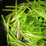 Lee Sang-min Instagram - 미나리스테이크 !!! 입니다^^ 맛저하세욥~~ 사랑합니다.. 그리고...늘... 감사합니다 ^^