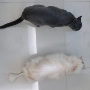 Lee Sang-min Instagram - 또또.. 건강이 좋아지기시작 ... 감사합니다 .....