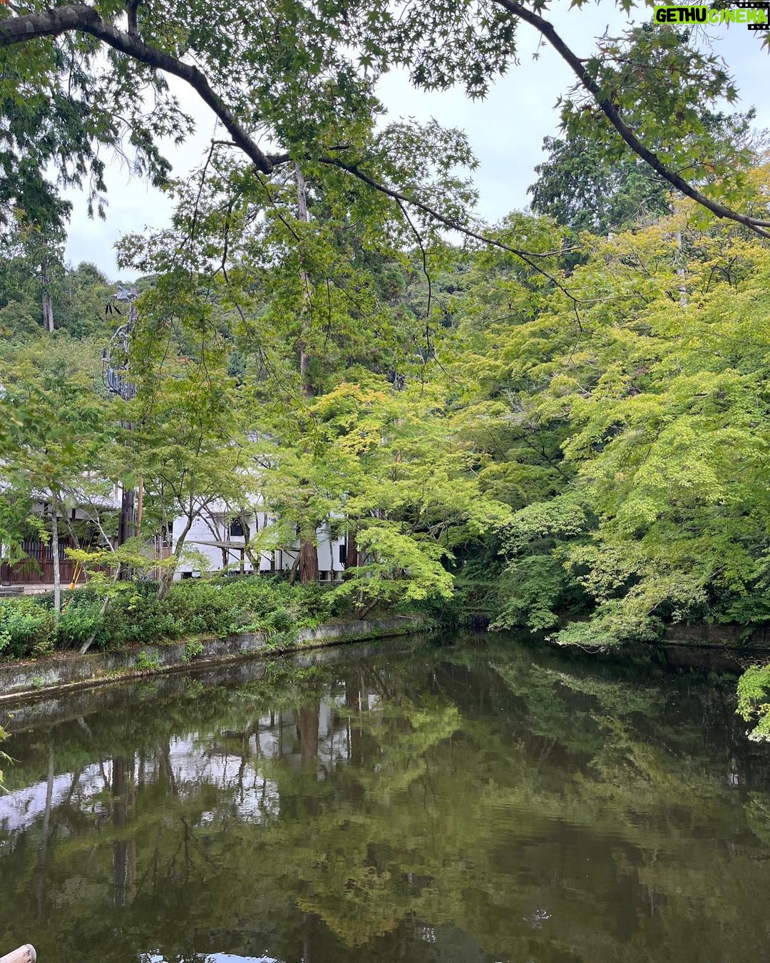 Lee Seo-yeon Instagram - 2023.08.29-2023.08.31 #kyoto #japan