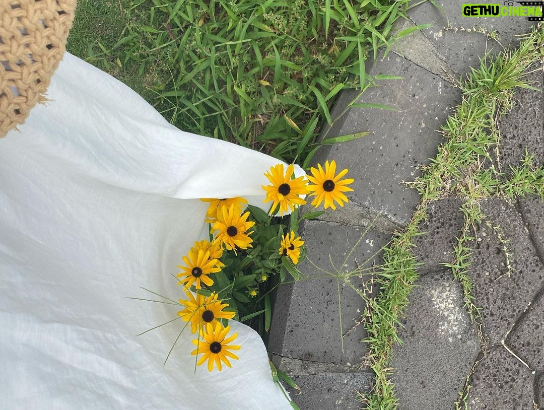 Lee Seo-yeon Instagram - 괜히 꽃도 담고싶은거 있지! 2023.07.19-2023.07.23