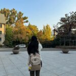 Lee Seo-yeon Instagram - 🍁🍂 Photo by @adonis2_