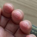 Lee Seo-yeon Instagram - 기타 진짜.. 어렵다... 너무 아프고 얼얼하구.. 답답하고.. 근데 또 재미는 있다.. 아 그리구 나 금욜부터 유도도 할거다..!! 못 했던 취미생활 맘껏 할테다.