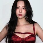 Lee Sun-mi Instagram - Red or Silver?
