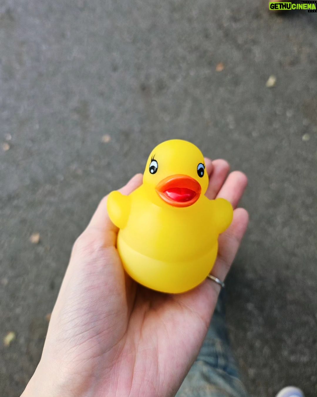 Lee Sun-mi Instagram - 거의 뭐 미야네도 같이 갔다고 봐야 에버랜드