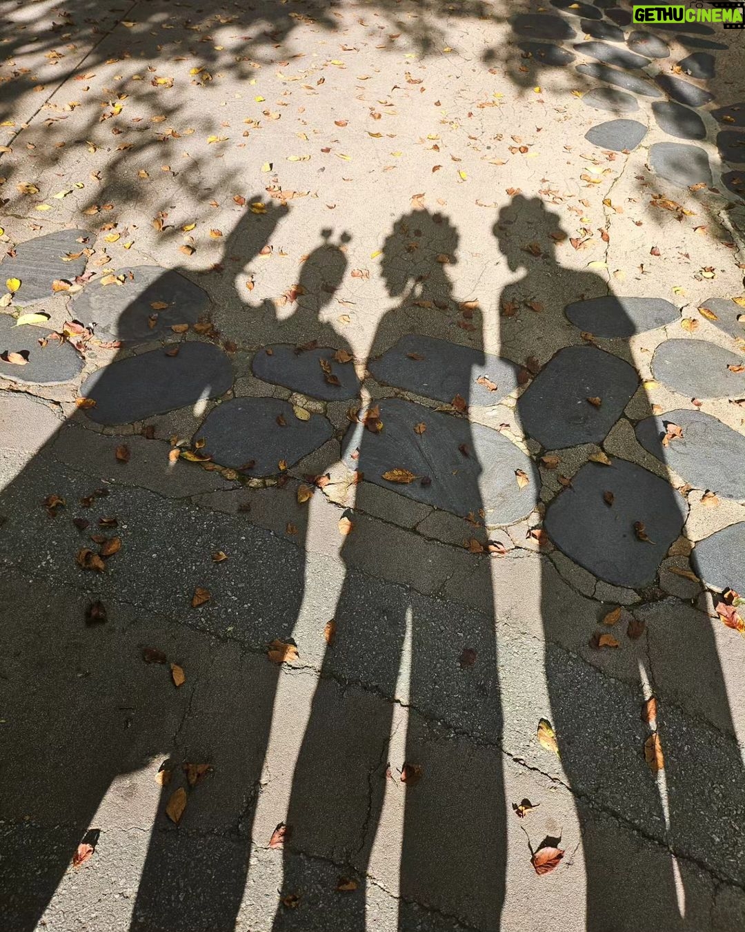 Lee Sun-mi Instagram - 거의 뭐 미야네도 같이 갔다고 봐야 에버랜드