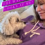 Leeza Gibbons Instagram - #fortheloveofapet #BiggieRules #everything