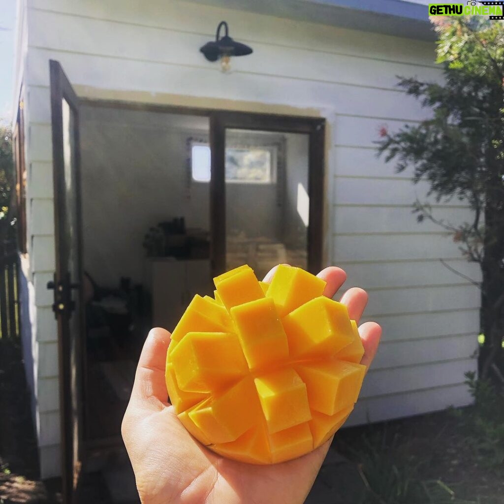 Lenka Instagram - It’s gonna be a mango and craft-shed season for me 🥭⛱️✂️ Australia