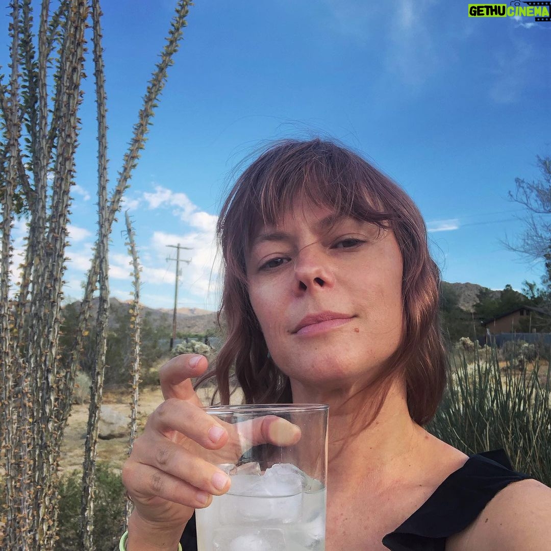 Lenka - 607 Likes - Cheers from the high desert! I’ve nearly run out of moisturizer 😆
#joshuatree #hiking #margarita