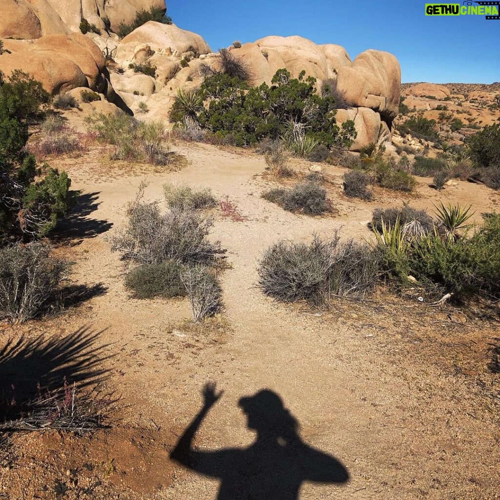 Lenka Instagram - Cheers from the high desert! I’ve nearly run out of moisturizer 😆 #joshuatree #hiking #margarita Joshua Tree, California