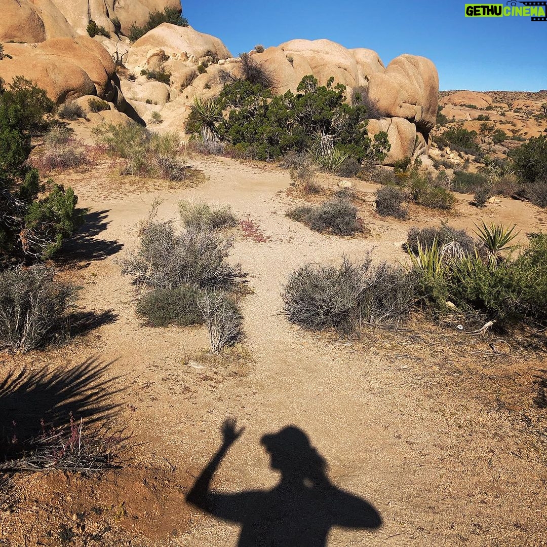 Lenka - 607 Likes - Cheers from the high desert! I’ve nearly run out of moisturizer 😆
#joshuatree #hiking #margarita