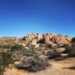 Lenka Instagram – Cheers from the high desert! I’ve nearly run out of moisturizer 😆
#joshuatree #hiking #margarita Joshua Tree, California