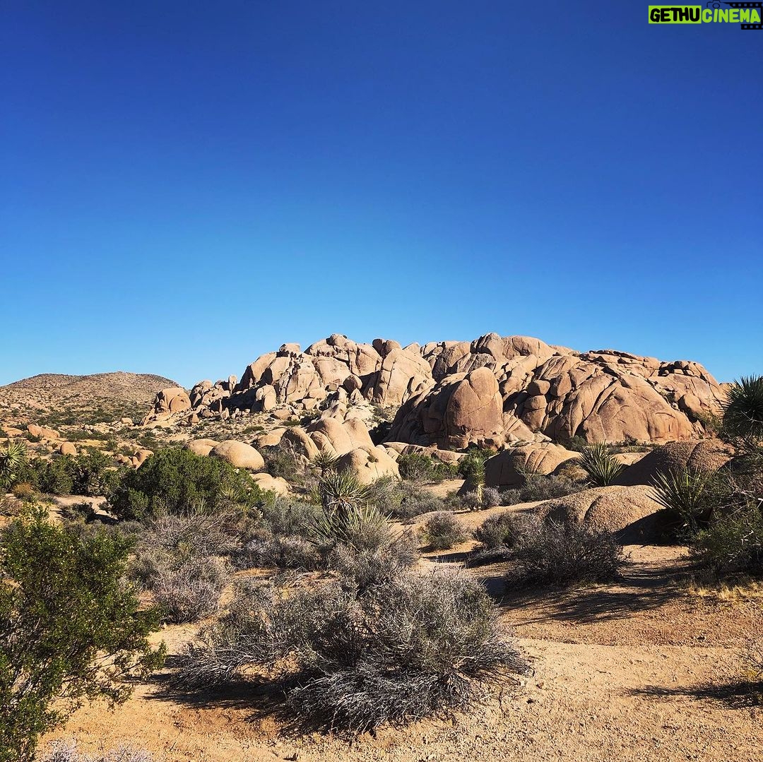 Lenka - 607 Likes - Cheers from the high desert! I’ve nearly run out of moisturizer 😆
#joshuatree #hiking #margarita